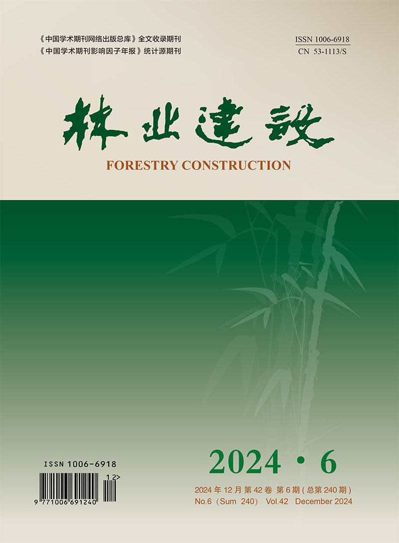 2024 No. 6